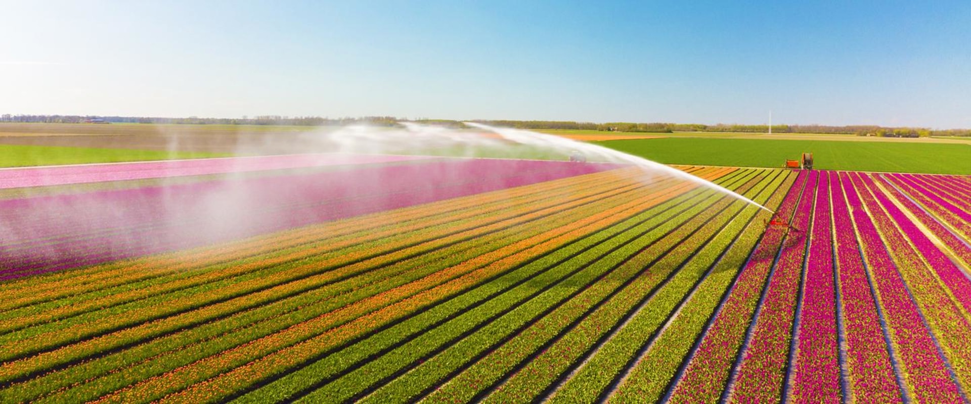 Real-Time Data Tracking for Irrigation Business Software