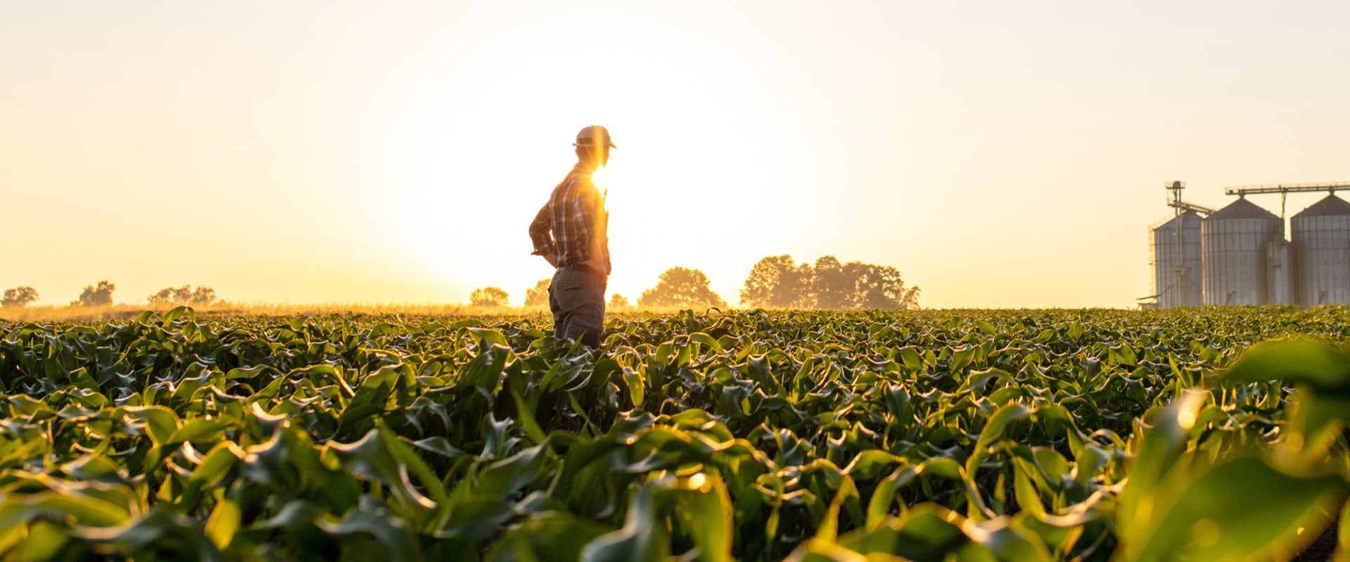 How Customizable Dashboards Can Improve Your Irrigation Business