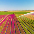 Real-Time Data Tracking for Irrigation Business Software