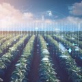 How Automated Scheduling and Control Software Can Revolutionize Your Irrigation Business