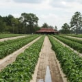 Maximizing Your Irrigation Business's Profitability