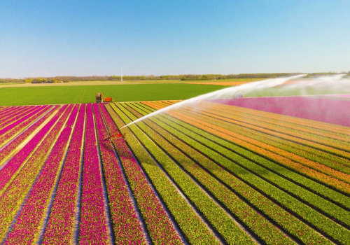 Real-Time Data Tracking for Irrigation Business Software