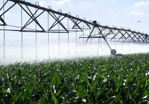 How Automated Design Can Save You Time in Your Irrigation Business