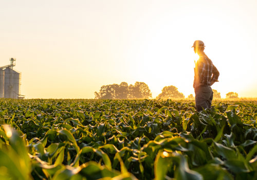 How Customizable Dashboards Can Improve Your Irrigation Business