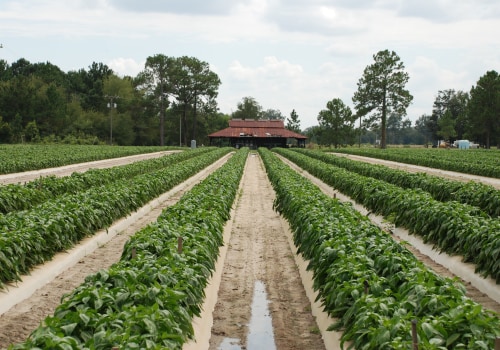 Maximizing Your Irrigation Business's Profitability